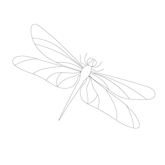 Icono de insecto libélula de contorno de fondo blanco