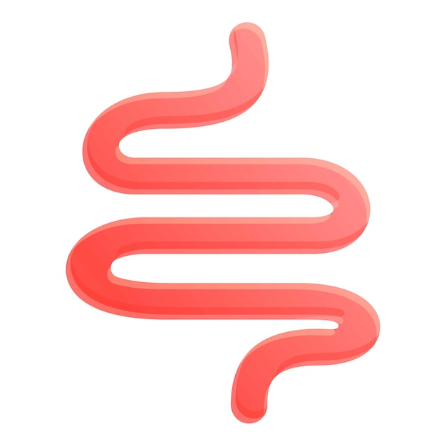 Icono del intestino delgado Icono del vector del intestino elgado para el diseño web aislado sobre fondo blanco