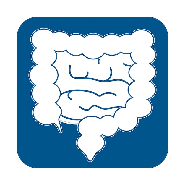Icono de intestinos en estilo plano moderno Símbolo para la interfaz de usuario de la aplicación del logotipo de diseño de su sitio web