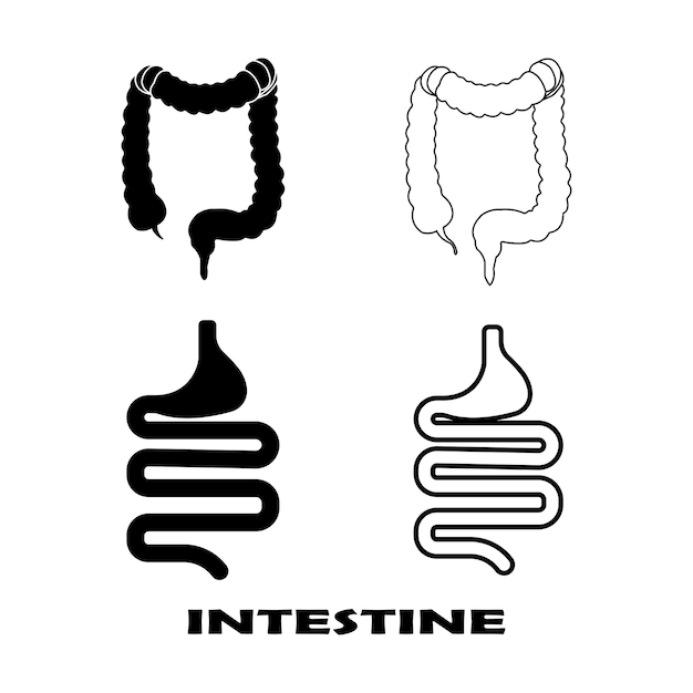 Vector icono de intestinos