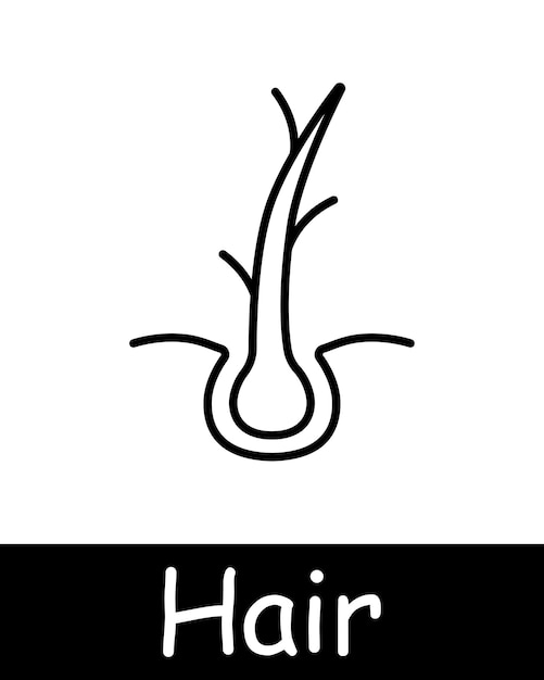El icono del juego de cabellos, la crema de corte, el champú, la trichología, la hidratación, el brillo, la piel, el picor, el volumen, la nutrición, el fortalecimiento, las puntas divididas, los procedimientos de salón, la fragilidad, el neomorfismo, el concepto de cuidado del cabello.