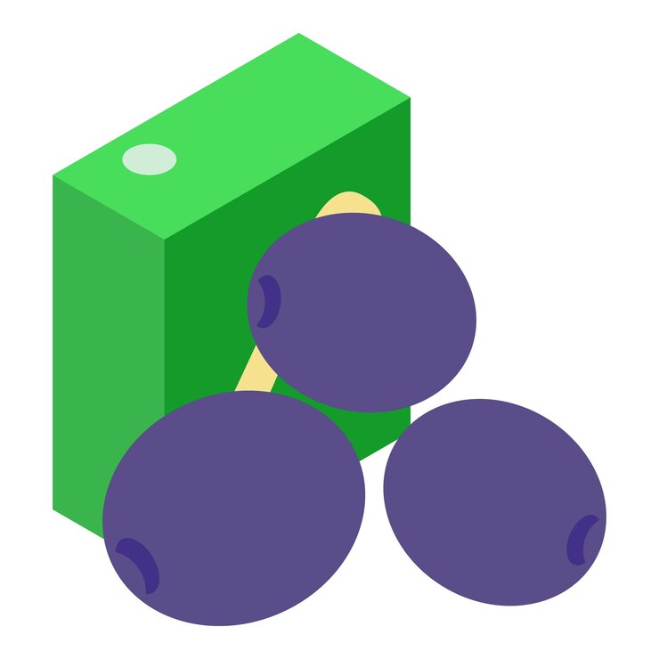 Vector icono de jugo de ciruela vector isométrico icono de embalaje de frutas y jugos de ciruelas frescas maduras concepto de alimentos y bebidas