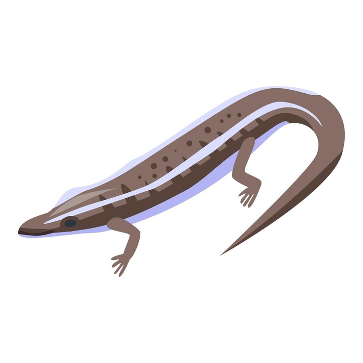 Vector icono de lagarto forestal isométrico del icono de vector de lagarto forestal para diseño web aislado sobre fondo blanco
