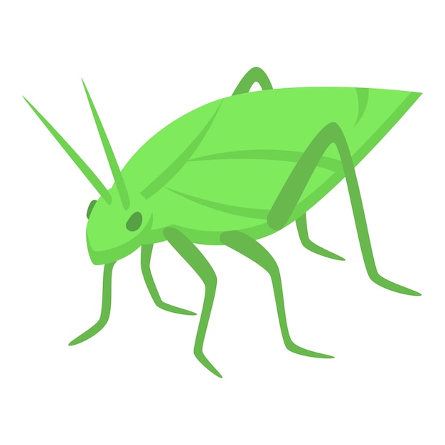 Icono de langosta verde hembra vector isométrico insecto insecto