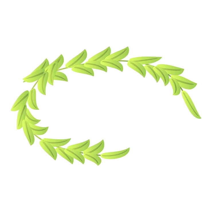 Vector icono de laurel de oliva isométrico de icono de vector de laurel de oliva para diseño web aislado sobre fondo blanco