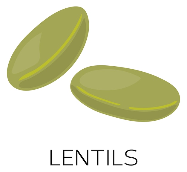 Icono de lentejas Comida verde cruda Legumbre de cocina