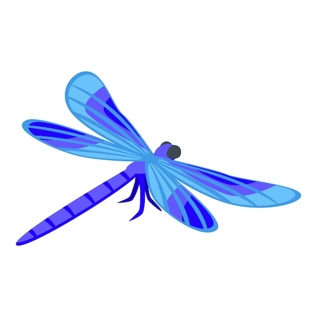 Icono de libélula azul vector isométrico Dragón de ala Error de verano