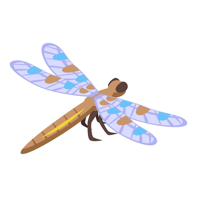 Icono de libélula punteada vector isométrico Insecto ala Verano volando