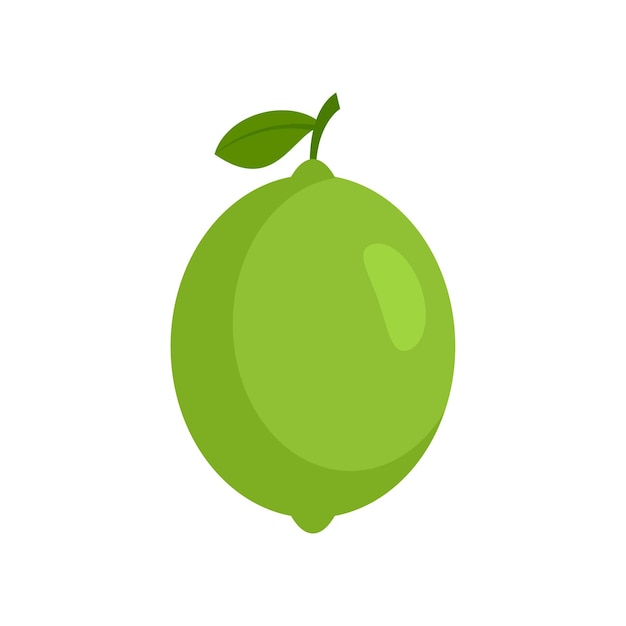 Icono de lima entera Ilustración plana del icono de vector de lima entera aislado sobre fondo blanco