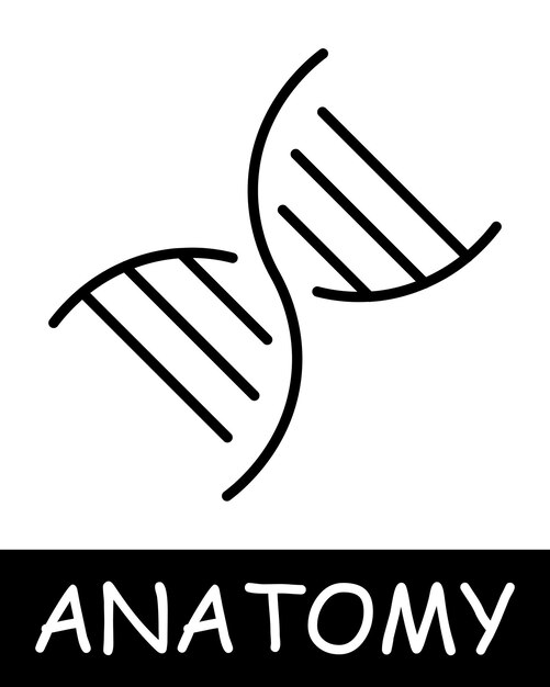Icono de línea de ADN Moléculas biología cromosomas anatomía medicina enseñanza médico enfermera fisiología del cuerpo humano Ícono de línea vectorial para negocios y publicidad