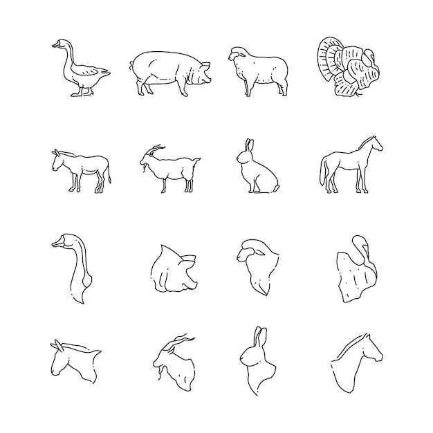 Vector icono de línea de aves y animales de granja