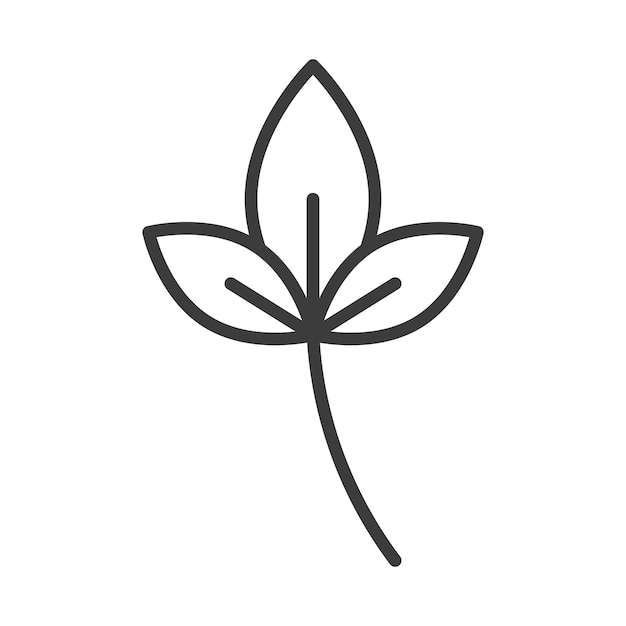 Icono de la línea de basilio aislado en fondo blanco