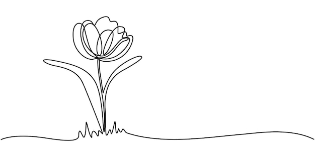 Icono de línea continua de tulipán dibujo de flor de línea mono icono de línea continua en fondo blanco A