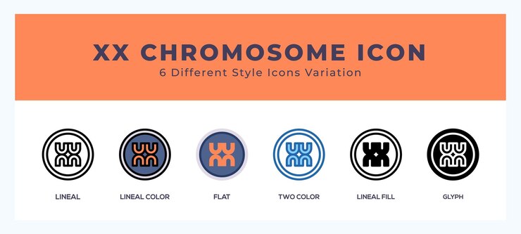 Vector icono de línea de cromosoma xx para sitios web y aplicaciones ilustración vectorial con trazo editable