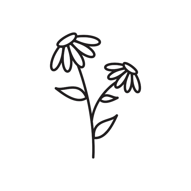 El icono de la línea de flores de primavera, el helecho del bosque, el eucalipto, el arte, el follaje, las hojas naturales, las hierbas, la belleza decorativa.