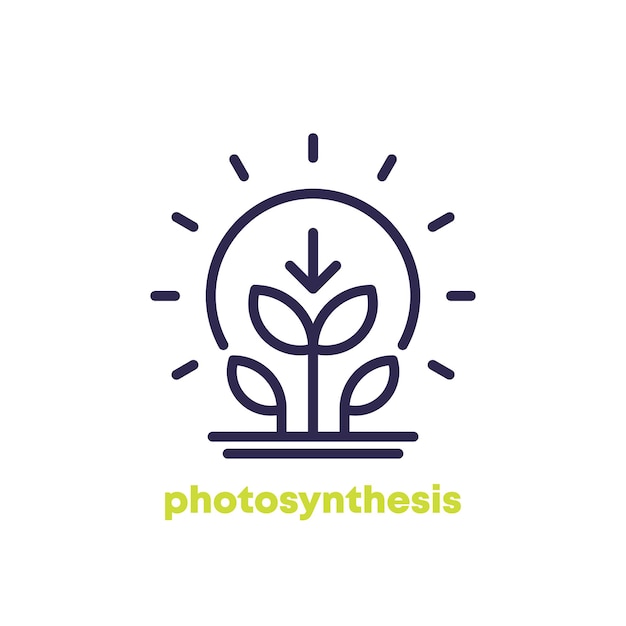 Icono de línea de fotosíntesis con planta y sol