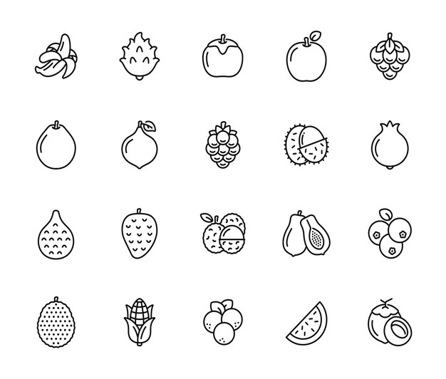 Vector el icono de la línea de frutas está aislado sobre un fondo blanco