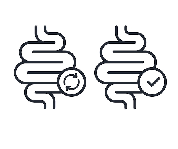 Icono de la línea intestinal Signo de digestión intestinal saludable Ilustración de stock vectorial