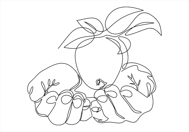 Icono de línea de manzana de mano, ilustración de fruta, icono de vector de símbolo saludable ecológico