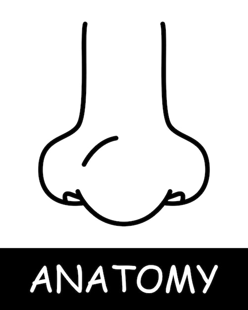 Icono de la línea de la nariz Aroma olor fractura anatomía medicina formación médico enfermera fisiología del cuerpo humano Icono de línea vectorial para negocios y publicidad