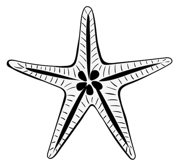 Icono de línea negra de estrella de mar animal de playa de verano aislado sobre fondo blanco