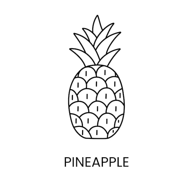 Icono de línea de piña en ilustración vectorial de frutas tropicales