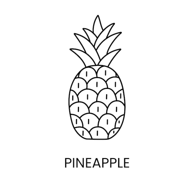 Vector icono de línea de piña en ilustración vectorial de frutas tropicales