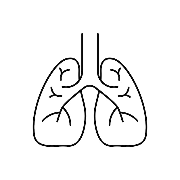 Icono de línea plana de pulmones Pictograma delgado vectorial de ilustración de esquema de órgano interno humano para clínica pulmonar