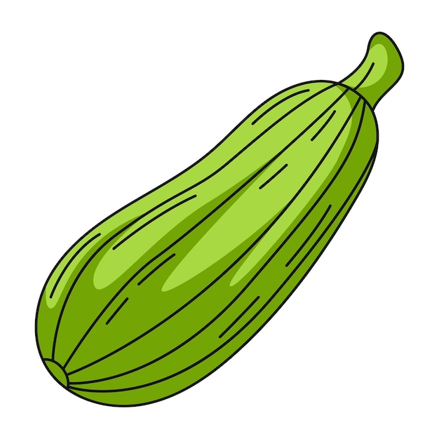 Icono lineal de calabacín verde colorido Vector de verduras de temporada de la granja Contorno de verduras color