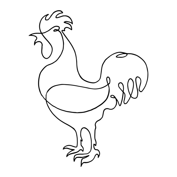 Vector icono del logotipo del pájaro gallo dibujo de línea continua ilustración vectorial dibujado a mano