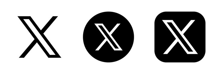 El icono del logotipo del vector X