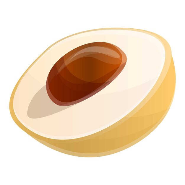 Icono de longan cortado Caricatura de icono de vector de longan cortado para diseño web aislado sobre fondo blanco