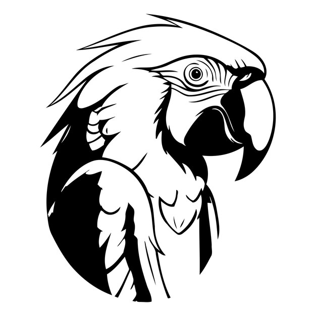 Icono de loro colorido sobre fondo blanco Ilustración vectorial para camiseta y otros usos