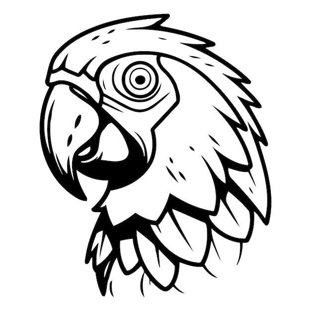 Icono de loro Ilustración de dibujos animados de icono de vector de loro para web