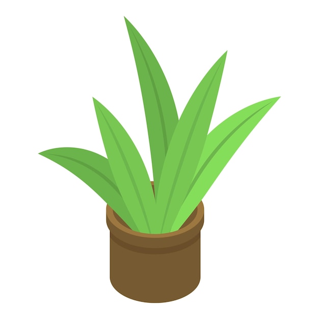 Icono de maceta de planta suculenta Isométrica de icono de vector de maceta de planta suculenta para diseño web aislado sobre fondo blanco