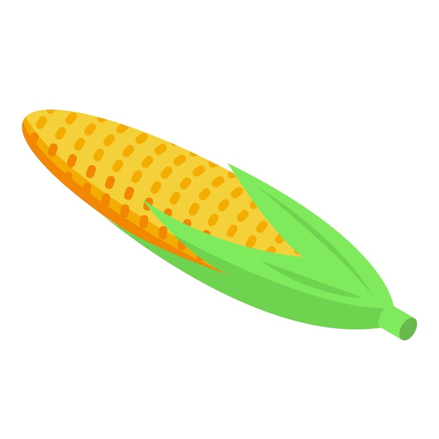 Icono de maíz Isométrico de icono de vector de maíz para diseño web aislado sobre fondo blanco