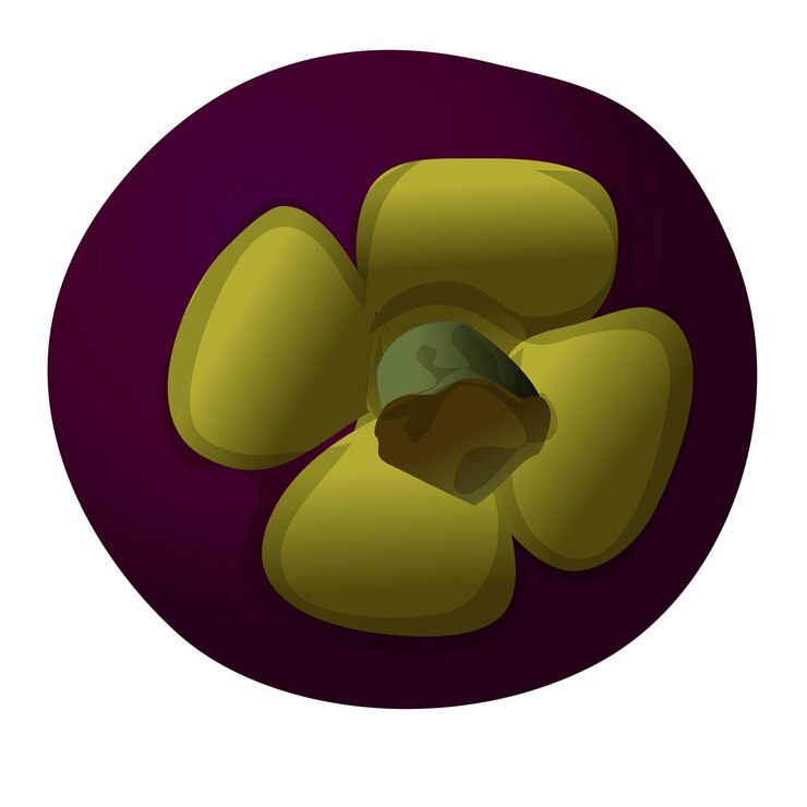 Vector icono de mangostán maduro caricatura de icono de vector de mangostán maduro para diseño web aislado sobre fondo blanco