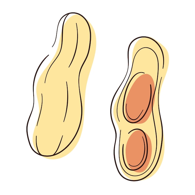 Icono de maní establecido en línea y estilo de arte de color Diseño para el paquete de mantequilla de maní Ilustración vectorial