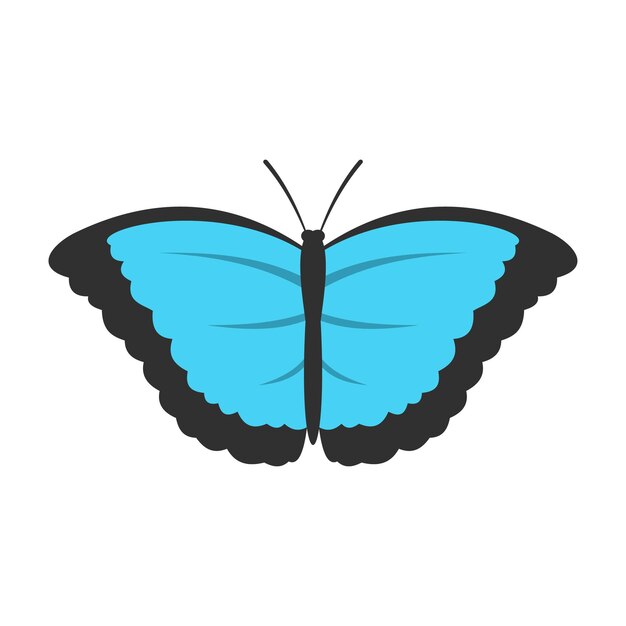 Vector icono de mariposa con alas grandes aislado en ilustración vectorial de fondo blanco