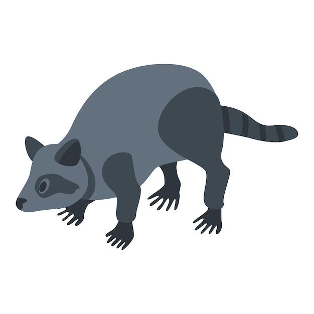 Icono de mascota de mapache Isométrico de icono de vector de mascota de mapache para diseño web aislado sobre fondo blanco
