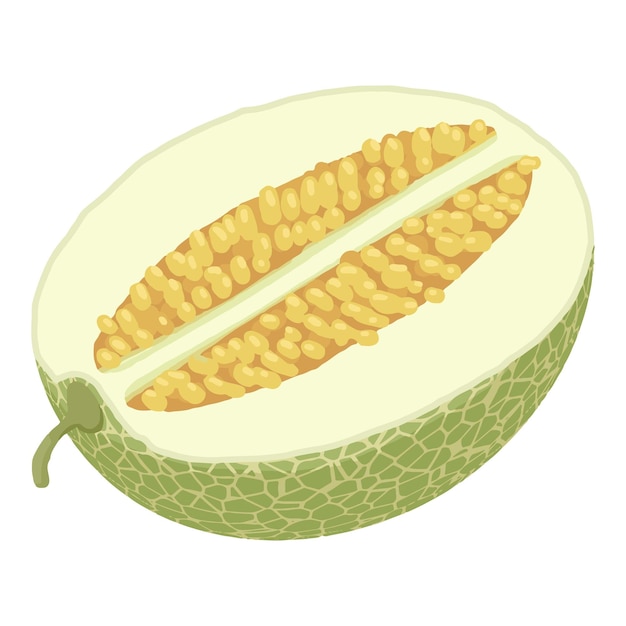 Icono de medio melón Icono isométrico de media melón para el diseño web aislado sobre fondo blanco