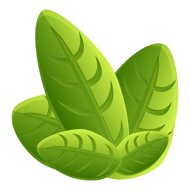 Icono de naturaleza de albahaca Caricatura de icono de vector de naturaleza de albahaca para diseño web aislado sobre fondo blanco