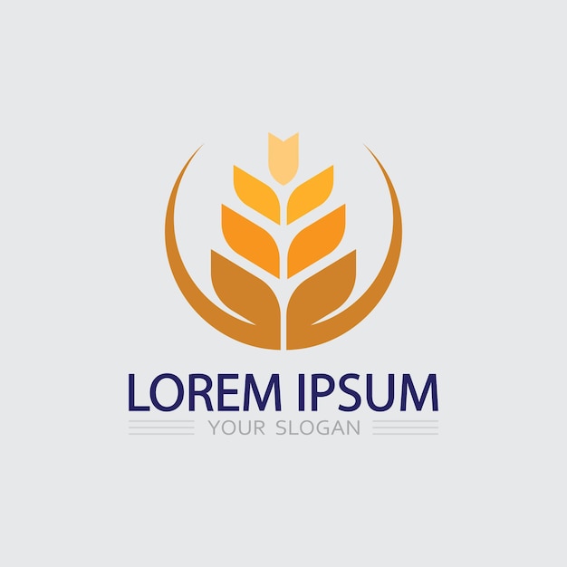 Icono de negocio y diseño de logotipo gráfico vectorial