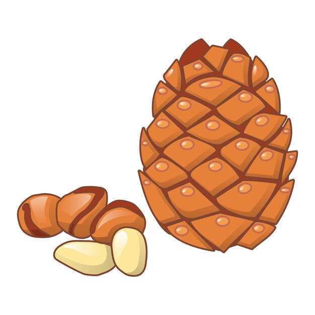 Icono de nuez de cedro Caricatura de icono de vector de nuez de cedro para diseño web aislado sobre fondo blanco