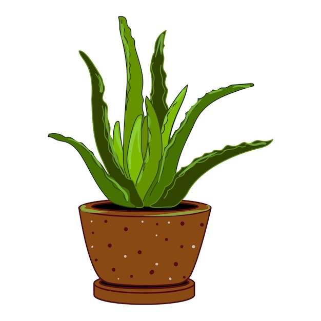 Icono de la olla de flores suculentas vector de dibujos animados desierto árido exótico
