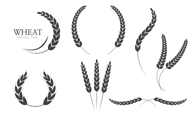 El icono de las orejas de trigo o el icono del arroz, el icono de la corona de laurel del trigo arrozado, la ilustración vectorial