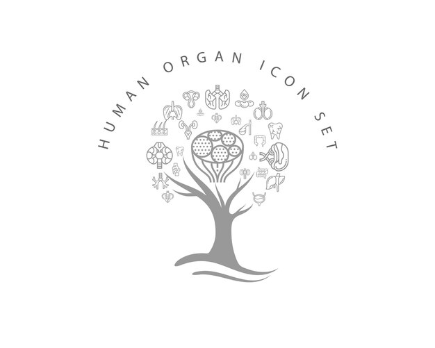 Icono de órgano humano en fondo blanco vector premium