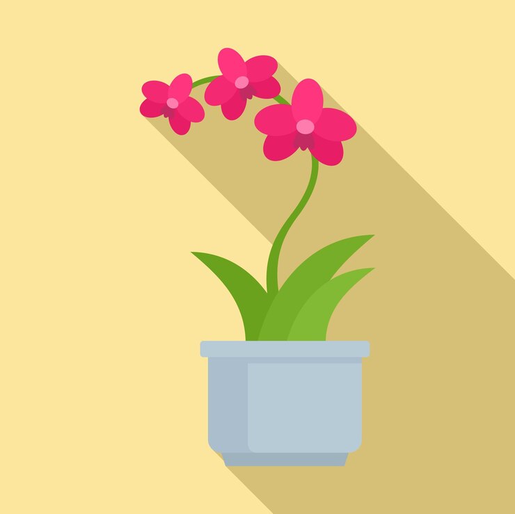 Vector icono de orquídea rosa ilustración plana de icono de vector de orquídea rosa para diseño web