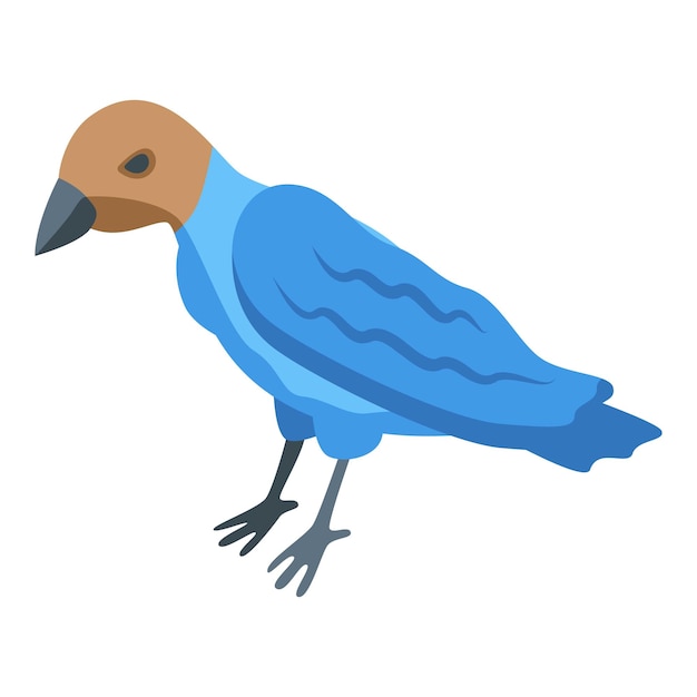 Icono de pájaro de Canadá vector isométrico Naturaleza animal Robin azul