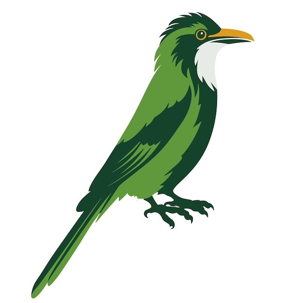 Vector icono de pájaro en un fondo blanco